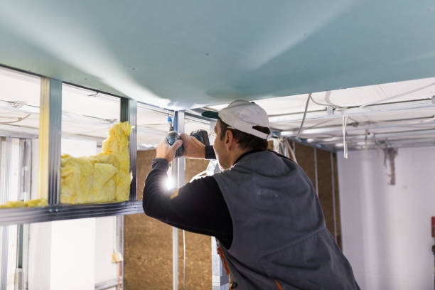 Best Best Insulation Companies  in Albany, IN