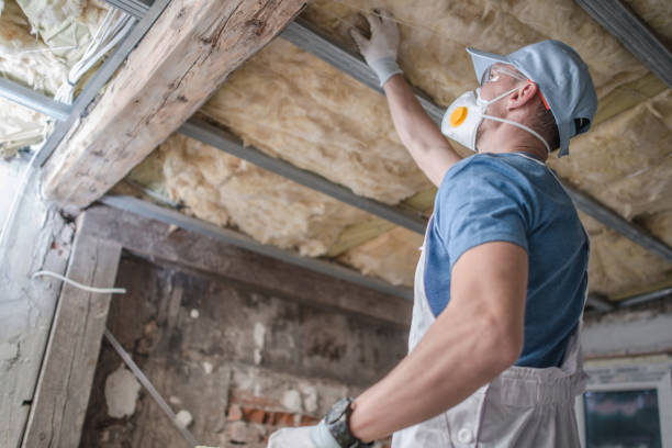 Best Insulation Removal  in Albany, IN